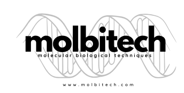 molbitech.com